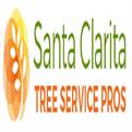 Santa Clarita Tree Service
